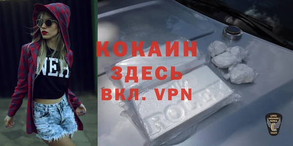 дмт Новодвинск