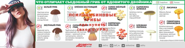 таблы Новозыбков