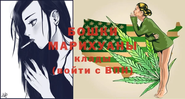 дмт Новодвинск