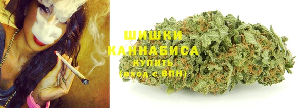 spice Няндома