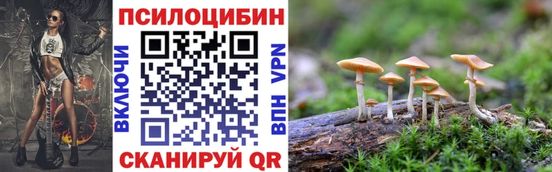 дарнет шоп  Лысьва  Галлюциногенные грибы Cubensis 